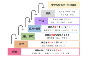 妊活階段